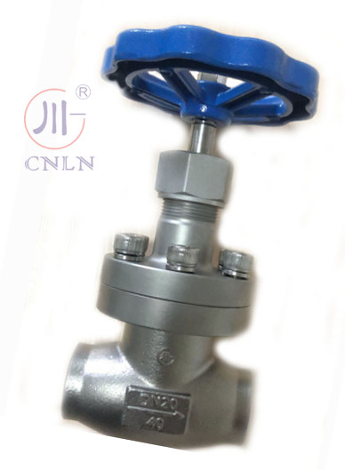 CNLN/Arman DJ61F-40P SS304/316 Valvola a sfera criogenica tipo tronco corto A ((DN10-100mm) per sistemi LNG/LOX/LN2