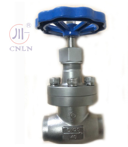 CNLN/Arman DJ61F-40P SS304/316 Valvola a sfera criogenica tipo tronco corto A ((DN10-100mm) per sistemi LNG/LOX/LN2