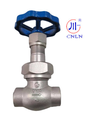 CNLN/Arman DJ61F-40P SS304/316 Valvola a sfera criogenica tipo tronco corto C ((DN10-50mm) per sistemi LNG/LOX/LN2 CE/ISO/EAC certificato