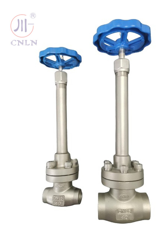 Valvola a sfera criogenica manuale in acciaio inossidabile DN25/DN15 per GNL/LOX/LN2/LAR/LCO2