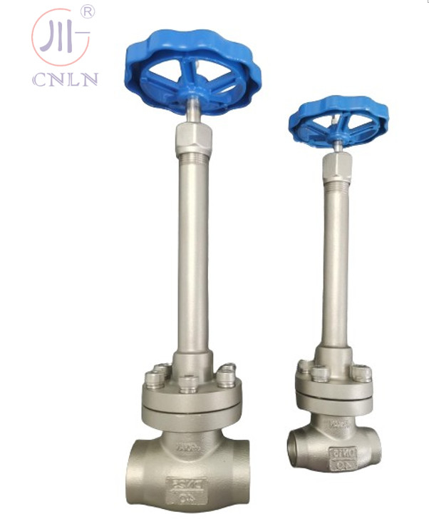Valvola a sfera criogenica manuale in acciaio inossidabile DN25/DN15 per GNL/LOX/LN2/LAR/LCO2