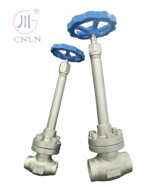 CF3/CF8 Valvola a sfera criogenica in acciaio inossidabile DN25/DN15 per GNL/LOX/LN2/LAR/LCO2