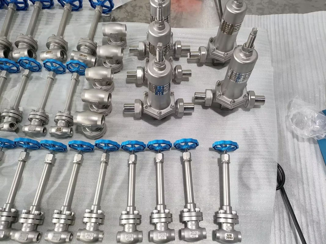 Valvola di riduzione della pressione manuale in acciaio inossidabile Valvola di regolazione della pressione dei gas per GNL/LOX/LN2/LAR/LCO2