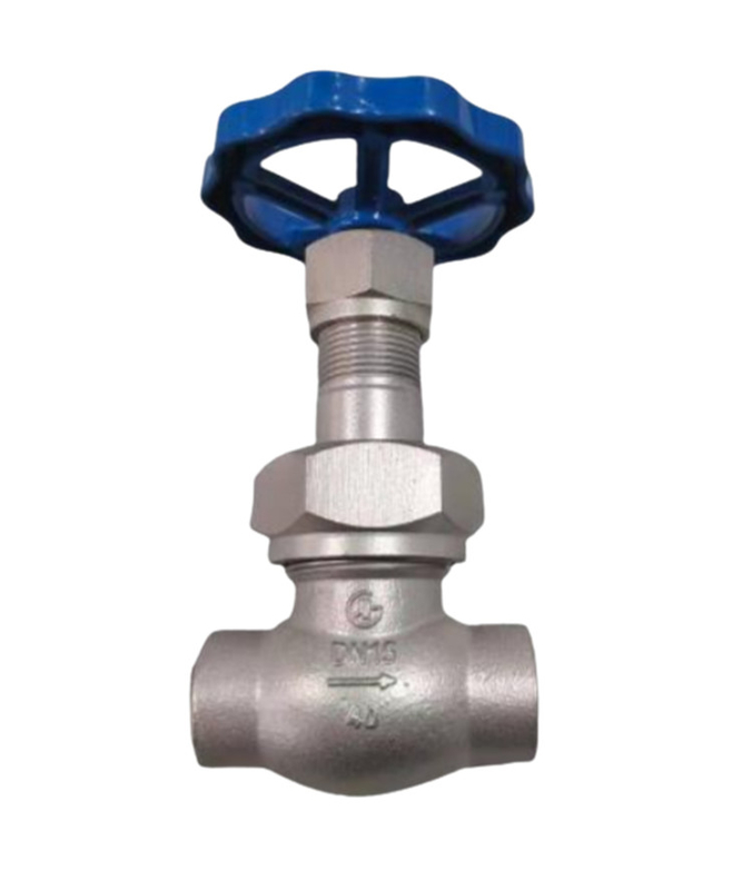 Sortare la valvola globulare a presa criogenica LN2 DN25 DJ61F-40P per GNL/LOX/LN2/LAR/LCO2