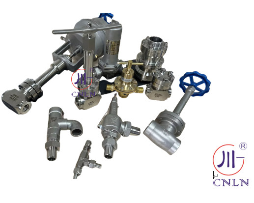 LNG LOX LIN LAR LCO2 Serbatoio Criogenica Valvola globulare ad alta pressione -196- 80 °C CF8/CF3 3/8''-4