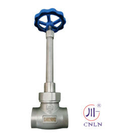 Sortare la valvola globulare a presa criogenica LN2 DN25 DJ61F-40P per GNL/LOX/LN2/LAR/LCO2