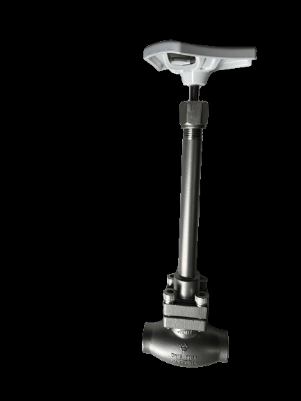 Valvola a globo criogenica SS304 DN10-DN100 -196°C a +80°C LOX LIN LNG LAR