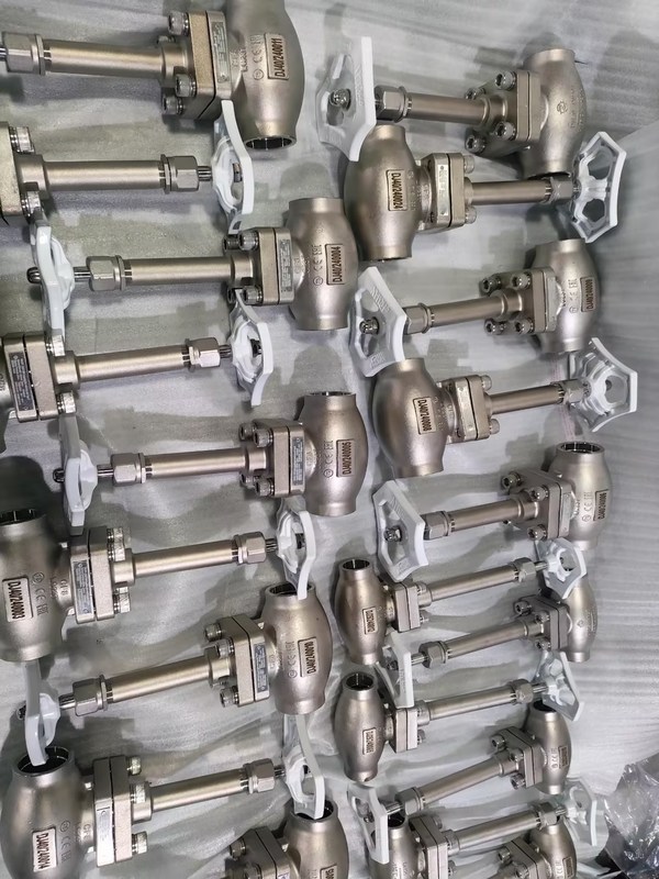 DN25 Valvola a sfera criogenica in acciaio inossidabile 304/316 con sigillo in PTFE e corpo di valvola CF8/CF3 per applicazioni da -196°C a +80°C