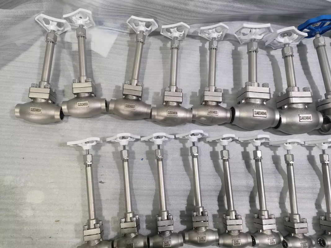 DN25 Valvola a sfera criogenica in acciaio inossidabile 304/316 con sigillo in PTFE e corpo di valvola CF8/CF3 per applicazioni da -196°C a +80°C