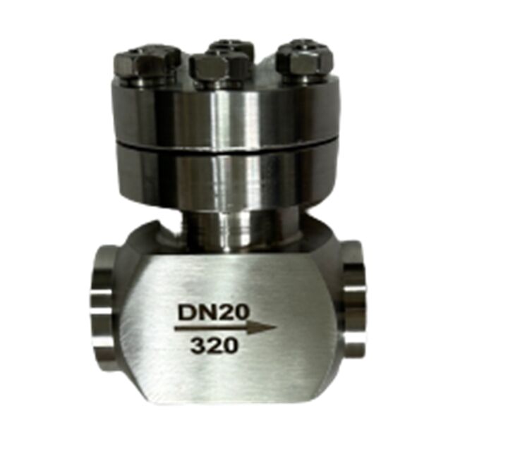 Valvola di ritegno criogenica con pressione massima di 320 Mpa in acciaio inossidabile 304/316 per intervallo di temperatura da -196 a +80°C