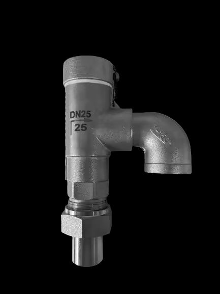 Pressione nominale della valvola di sicurezza criogenica in acciaio inossidabile da -196°C a +120°C