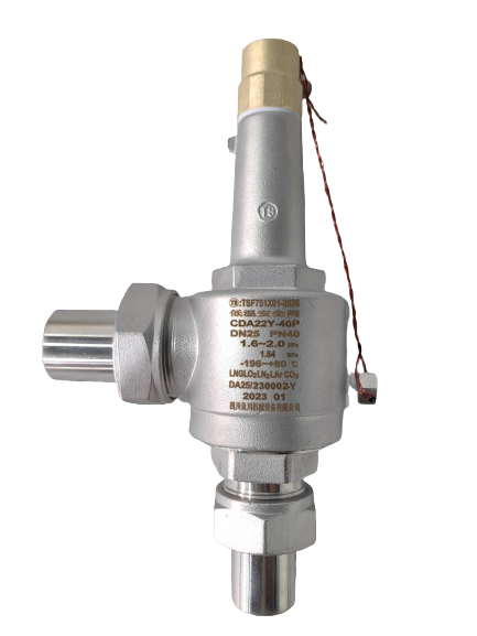 Valvola di sicurezza criogenica in acciaio inossidabile con pressione di 4,0 Mpa e temperatura compresa tra -196 °C e +120 °C