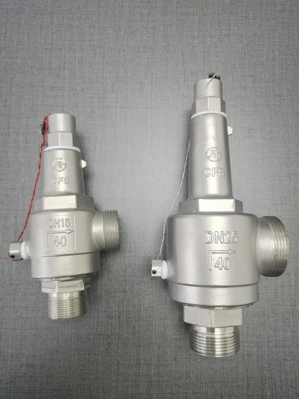 Valvola di sicurezza criogenica in acciaio inossidabile con pressione di 4,0 Mpa e temperatura compresa tra -196 °C e +120 °C