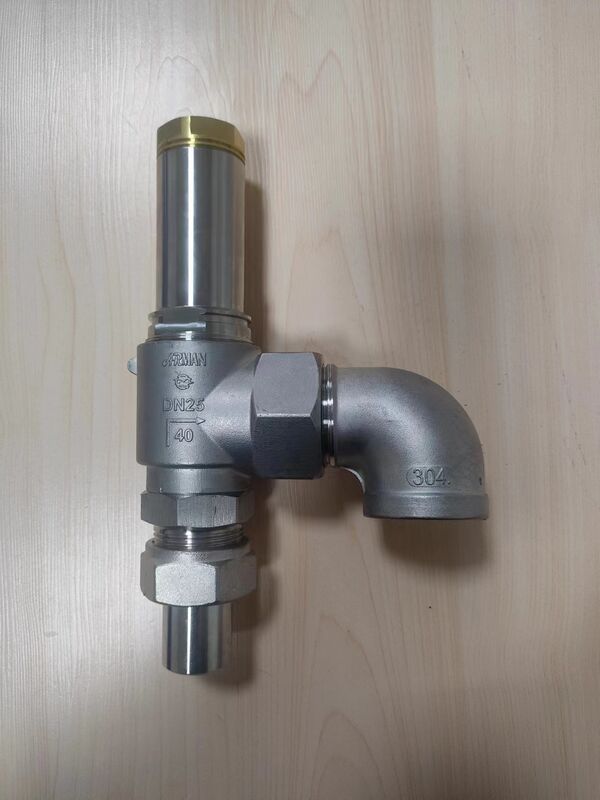 Valvola di sicurezza criogenica in acciaio inossidabile con pressione di 4,0 Mpa e temperatura compresa tra -196 °C e +120 °C