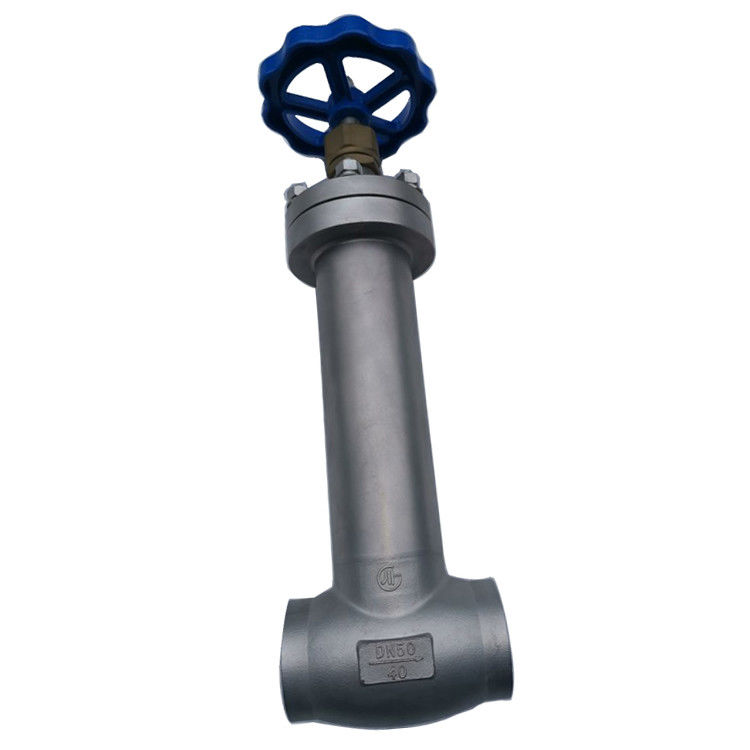 Acciaio inossidabile 304 / 316 a bassa temperatura PCTFE Disc Seal Criogenica Valvola globe -196~+80°C