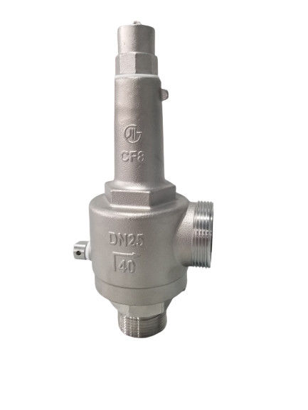 DN25 Valvola di sicurezza criogenica a azione diretta a molla aperta a pieno -196~+80 °C per GNL/LOX/LN2/LAR/LCO2