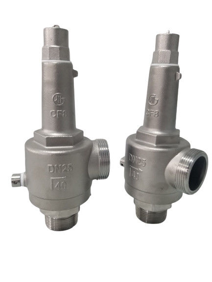 DN25 Valvola di sicurezza criogenica a azione diretta a molla aperta a pieno -196~+80 °C per GNL/LOX/LN2/LAR/LCO2